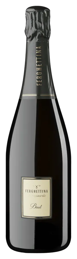 Franciacorta Brut Franciacorta Brut von Ferghettina - Flasche Schaumwein aus der Lombardei