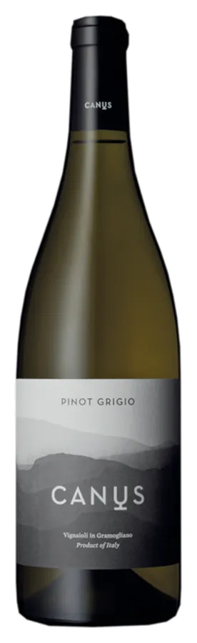 Pinot Grigio Colli Orientali de CANUS - Bouteille de Vin blanc du Frioul