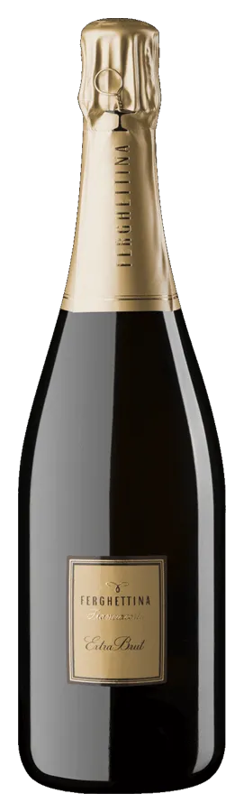 Franciacorta Extra Brut Franciacorta Extra Brut von Ferghettina - Flasche Schaumwein aus der Lombardei