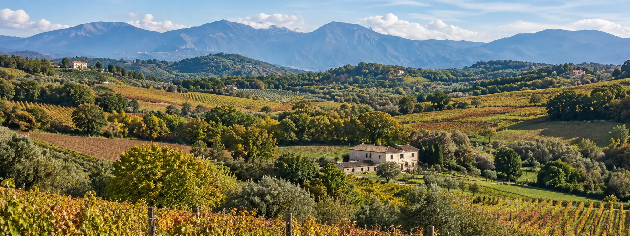 Paysage viticole d’Irpinia avec vignobles, collines et Apennins en arrière-plan
