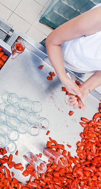 Table de travail à la Masseria Dauna pour la fabrication des conserves de tomates