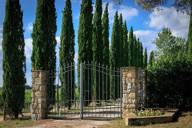 Route en Toscane avec l'entrée du domaine viticole, bordée de grands arbres