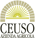 ceuso-azienda-agricola-sicilia-logo Logo du producteur de vin Ceuso de la sicile