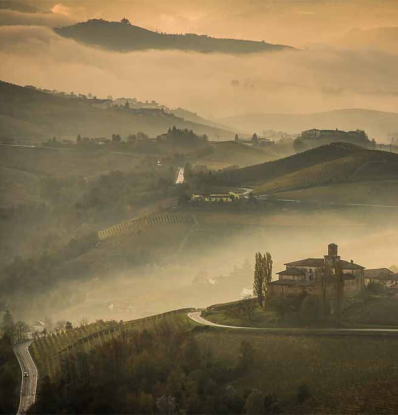 Landschaft Wein Anbaugebiet Piemont