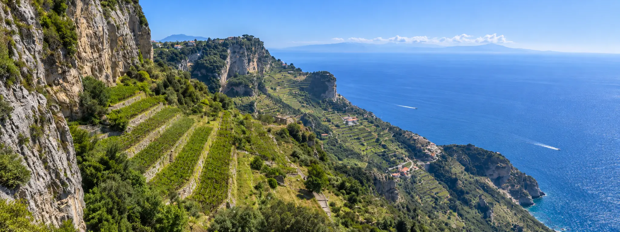 Vignobles en terrasses sur les pentes escarpées de la côte campanienne face à la mer