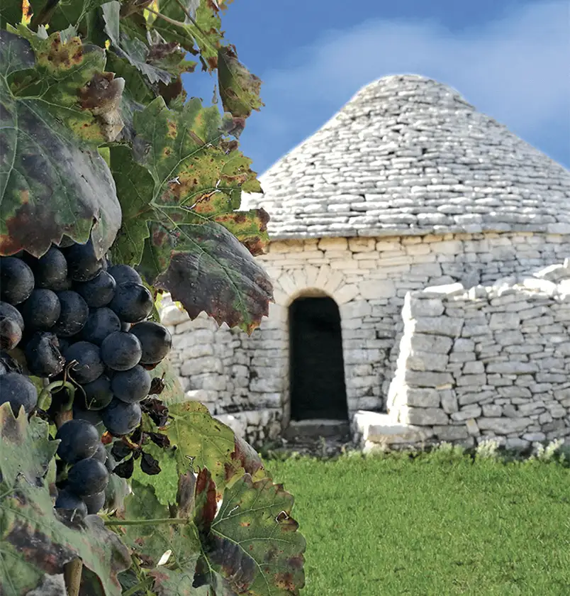 Trullo Pugliese - Traditionelles Steinhaus mit rundem Steindach auf den Feldern Apuliens