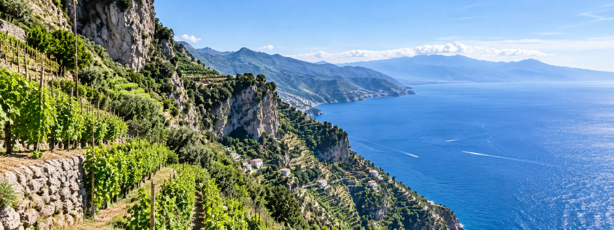 Vignobles en terrasses sur la côte amalfitaine avec vue sur la mer Tyrrhénienne