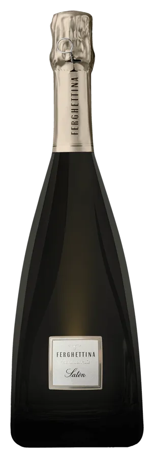 Franciacorta Satèn Brut Franciacorta Satèn Brut von Ferghettina - Flasche Schaumwein aus der Lombardei