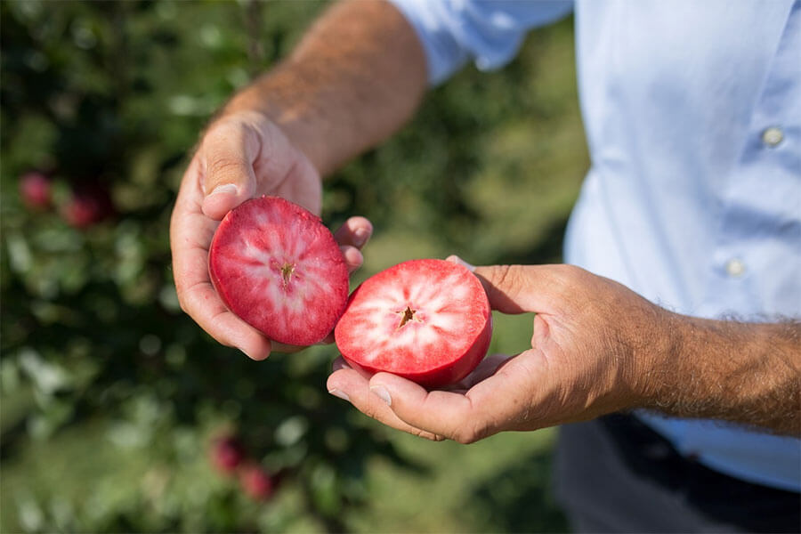 Bergapfelsaft Rouge