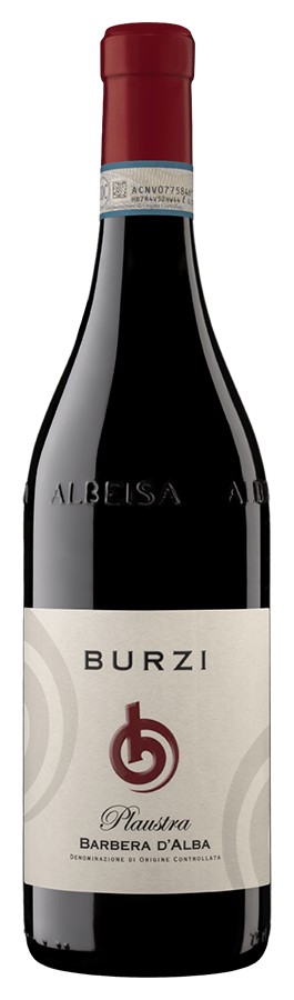 Barbera d'Alba «Plaustra» von Azienda Agricola Burzi - Flasche Rotwein aus der italienischen Region Piemont