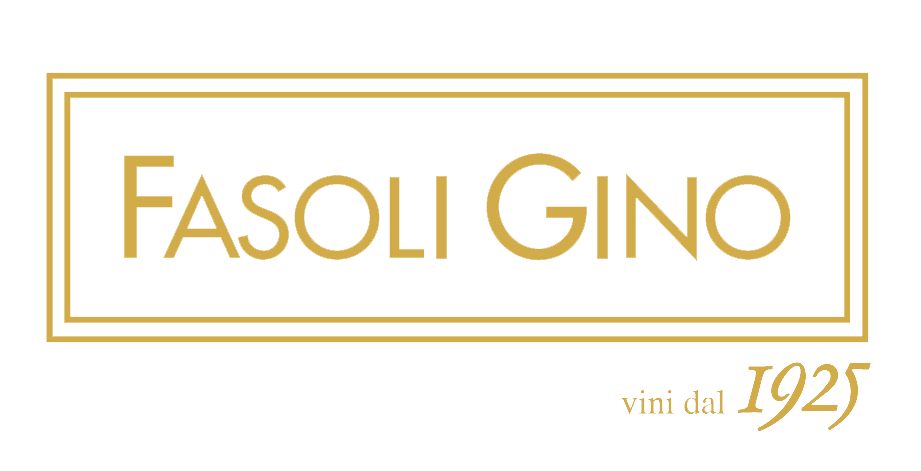 Gino Fasoli