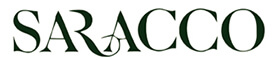 Paolo Saracco Paolo Saracco