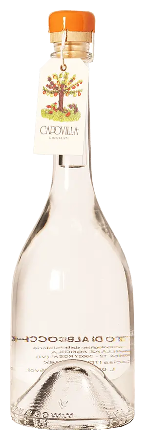 capovilla-distillato-albicocche Distillato di Albicocche von Capovilla Distillati - Flasche Acquavite aus Venetien