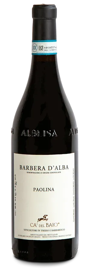 Barbera d'Alba Paolina von Ca' del Baio - Flasche Rotwein aus dem Piemont