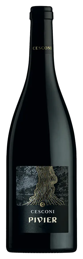 Pivier von Cesconi - Flasche Rotwein Biologisch aus dem Trentino