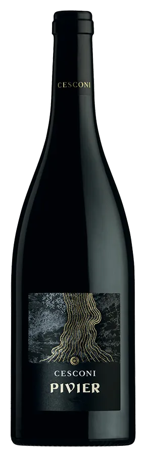 pivier-vigneti-dolomiti-cesconi-igt-75cl Pivier de Cesconi - Bouteille de Vin rouge Biologique du Trentin