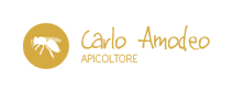 Carlo Amodeo
