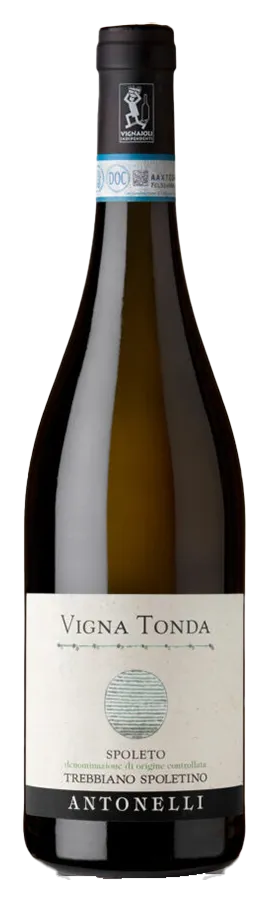 Vigna Tonda Trebbiano Spoletino Vigna Tonda Trebbiano Spoletino d'Antonelli San Marco - Bouteille de vin blanc d'Ombrie