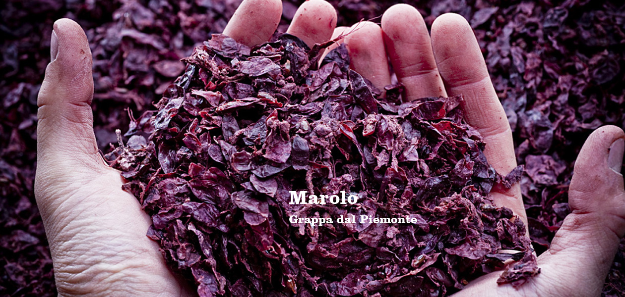 banner-vinnacie-fresche-marolo-grappa